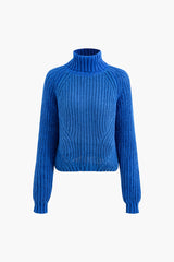 Solid Turtleneck Knit Top