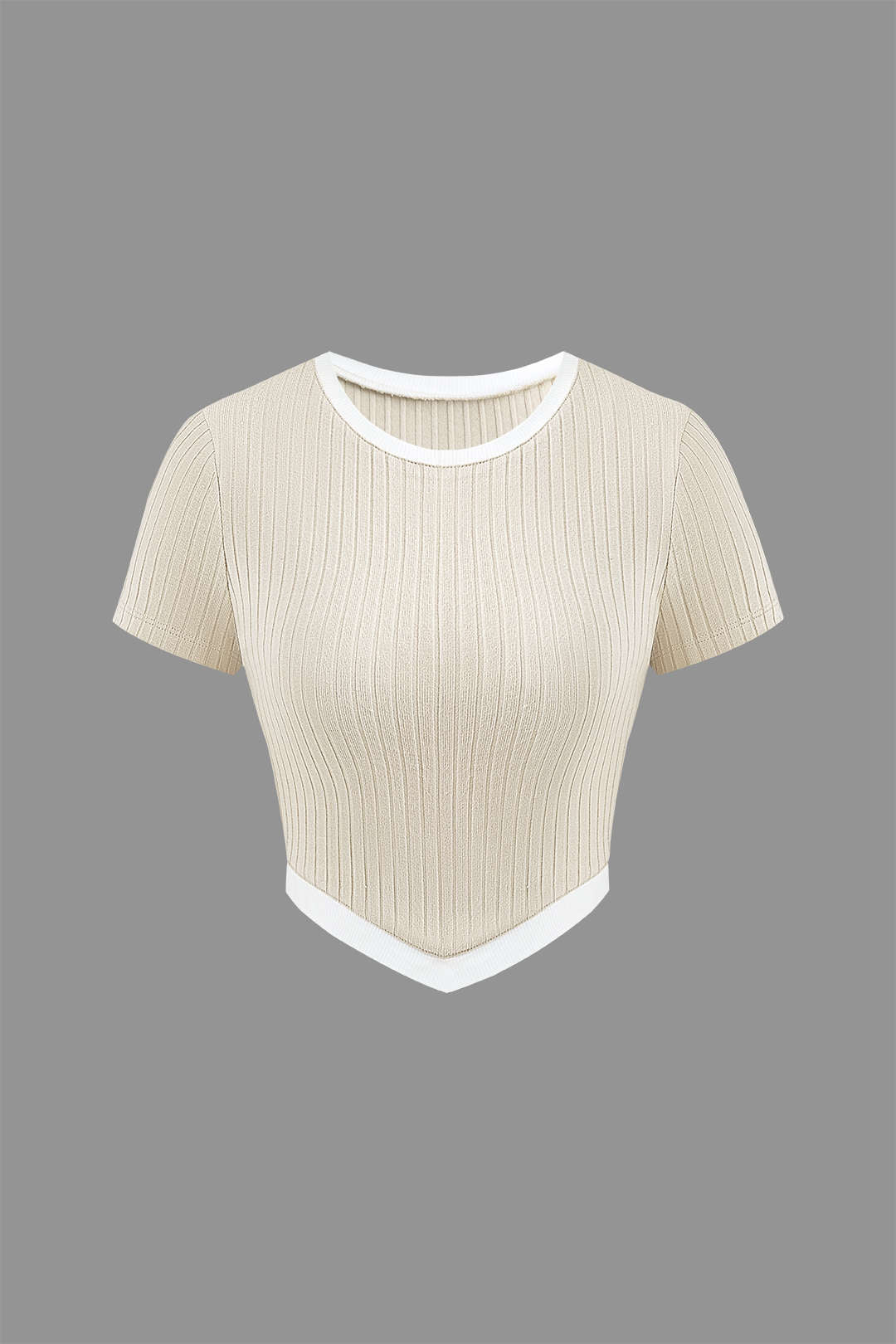 Contrast Trim Round Neck V-hem Rib Knit T-shirt