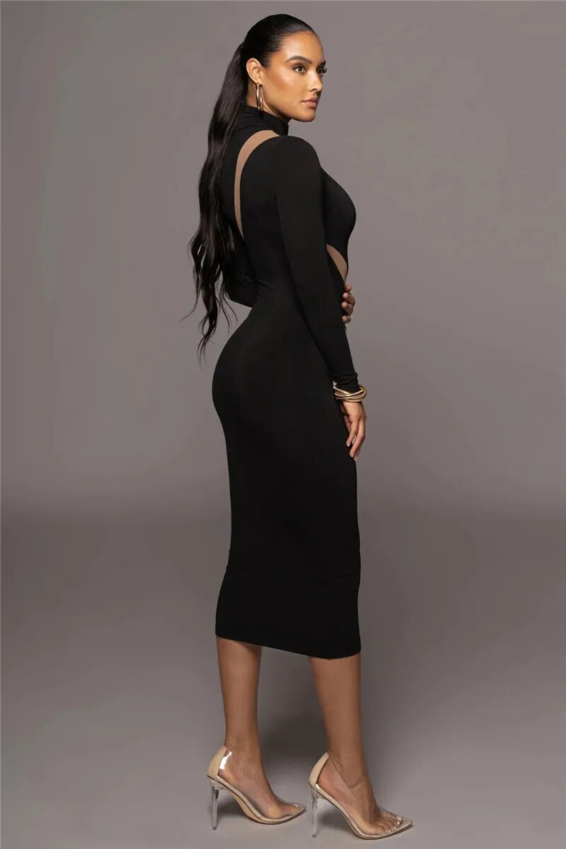 Alanna Long Sleeve Bodycon Sexy Maxi Dress