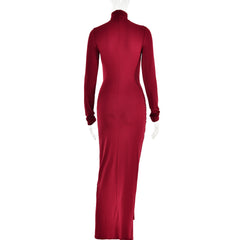 Dana Turtleneck Long Sleeve Maxi Dress