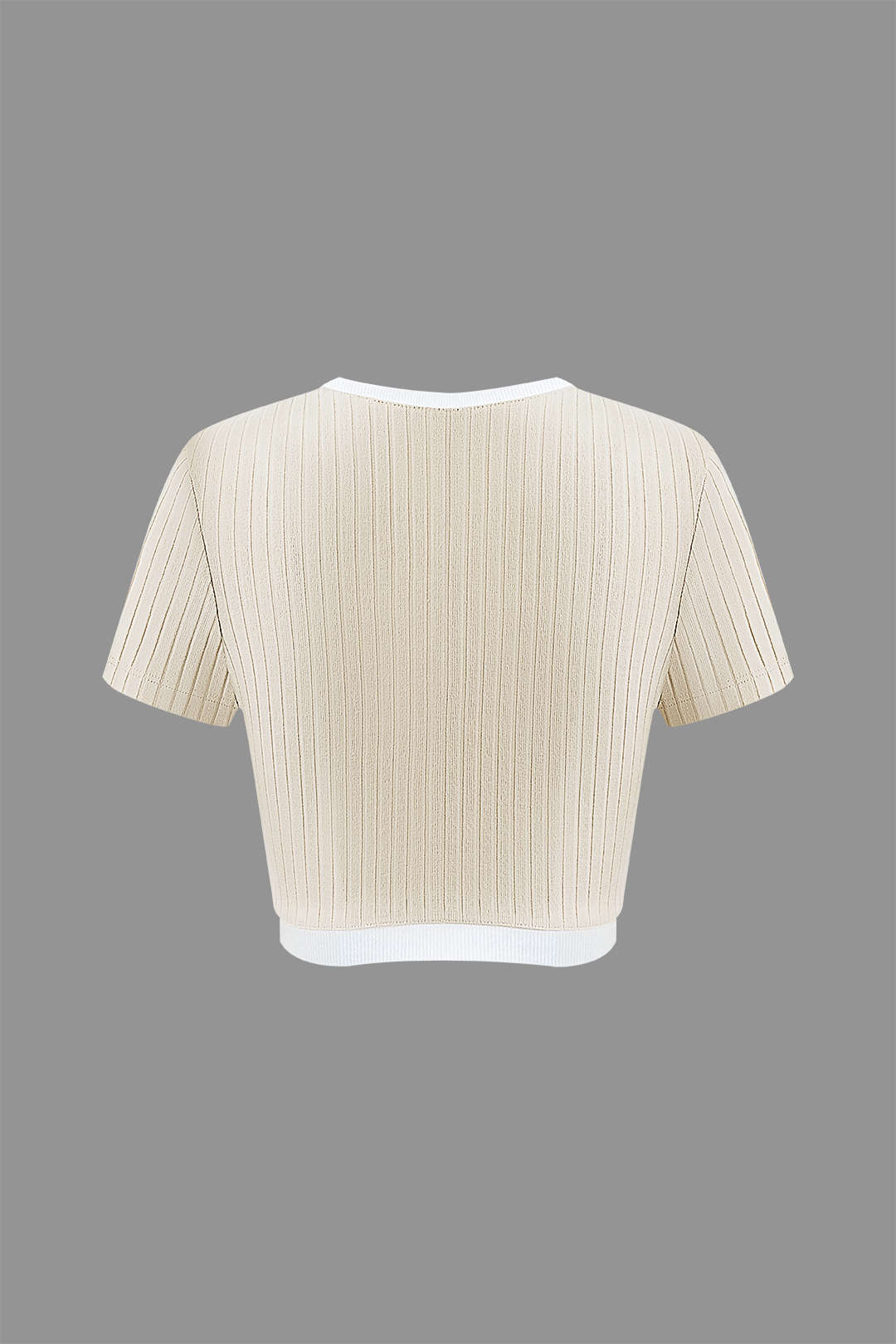 Contrast Trim Round Neck V-hem Rib Knit T-shirt