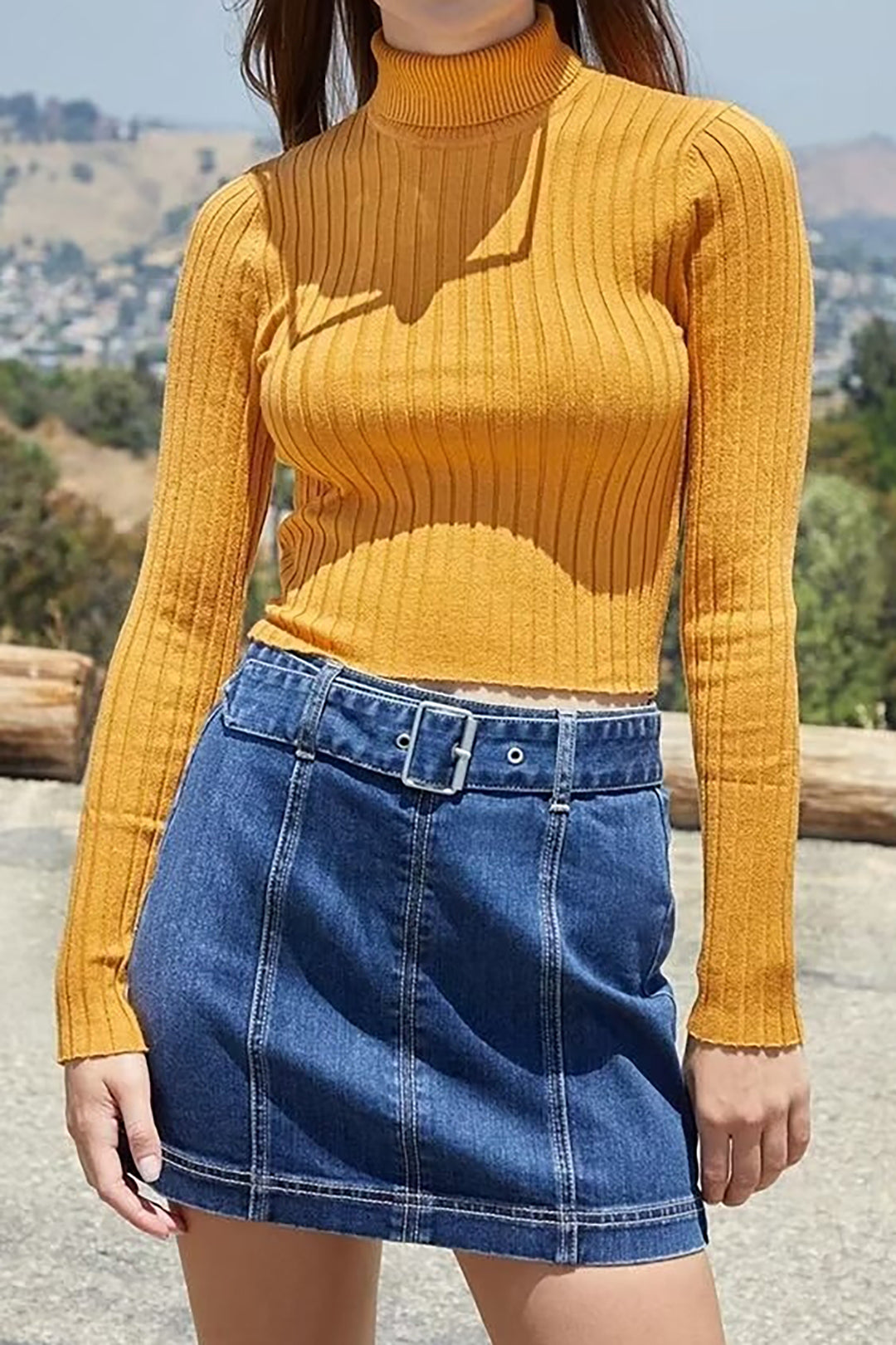 Solid Turtleneck Rib Knit Long Sleeve Top