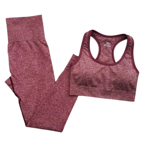 Seamless Sports Bra Workout Set