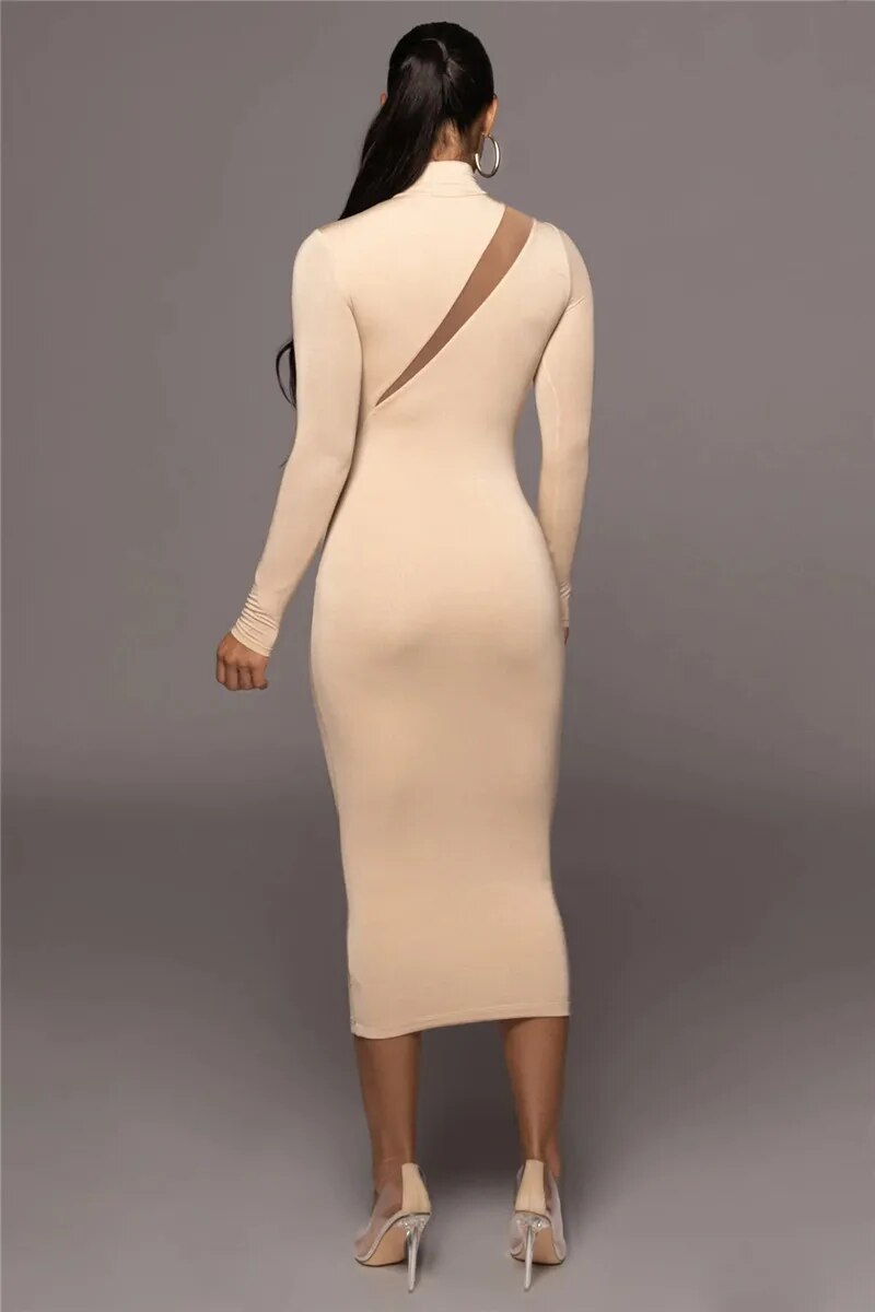 Alanna Long Sleeve Bodycon Sexy Maxi Dress