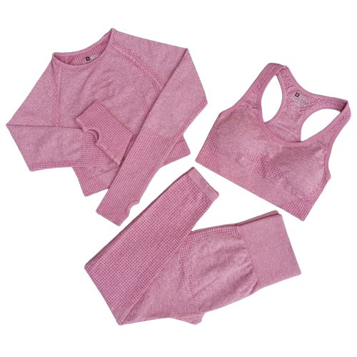 3 Piece Seamless Workout Set