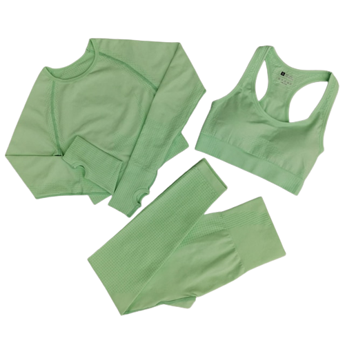 3 Piece Seamless Workout Set