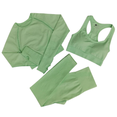 3 Piece Seamless Workout Set