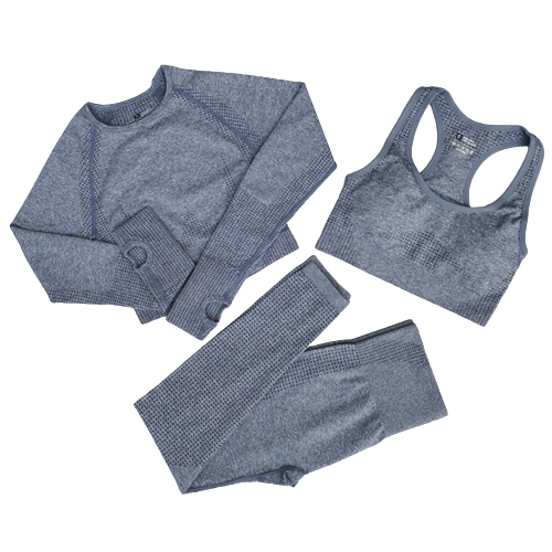 3 Piece Seamless Workout Set