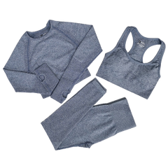 3 Piece Seamless Workout Set