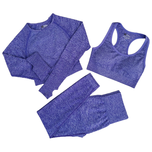 3 Piece Seamless Workout Set