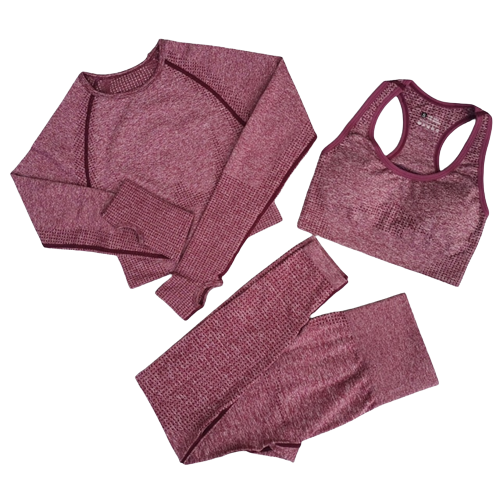 3 Piece Seamless Workout Set