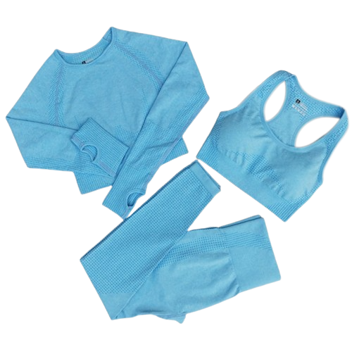 3 Piece Seamless Workout Set