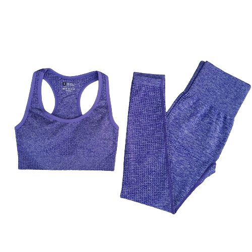 Seamless Sports Bra Workout Set