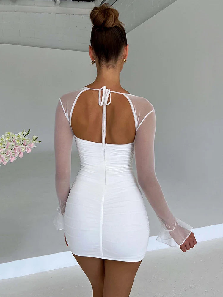 Two Layer Mesh Full Sleeve Bodycon Mini Dress