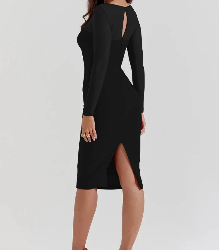 Mesh Long Sleeve Plunge Maxi Dress