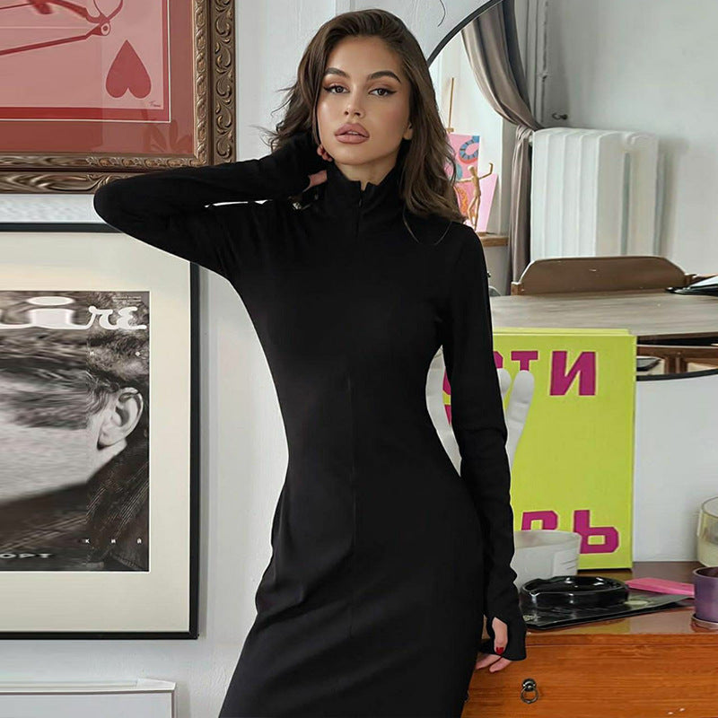 Alyssa Turtleneck Long Sleeve Bodycon Long Dress